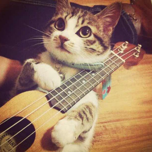 欧美性爱靠逼乱伦
