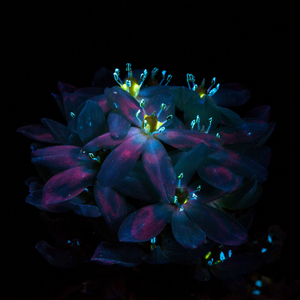 欧美性爱靠逼乱伦
